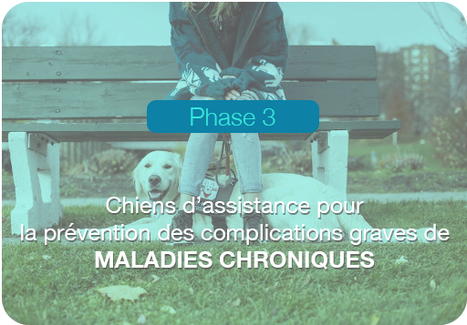 chien-assistance-phase3-mobile